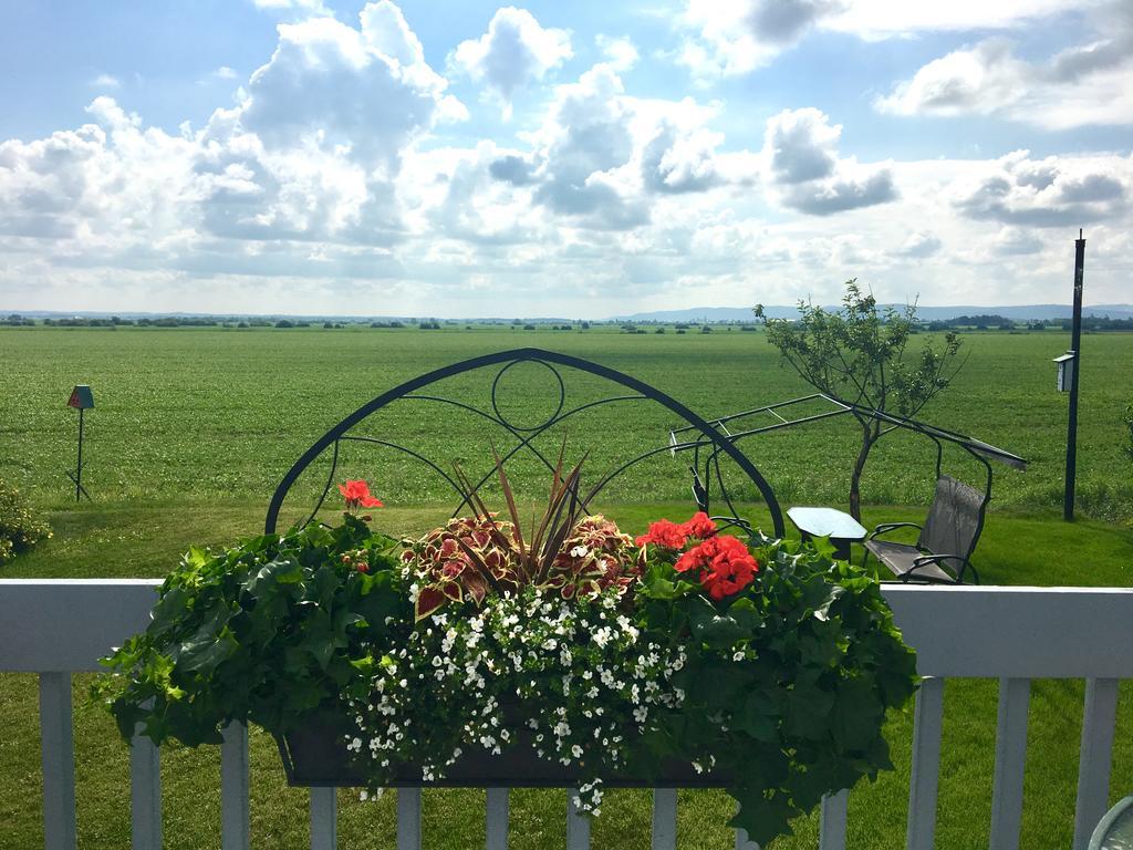Champ Soleil Bed and Breakfast Metabetchouan Eksteriør billede